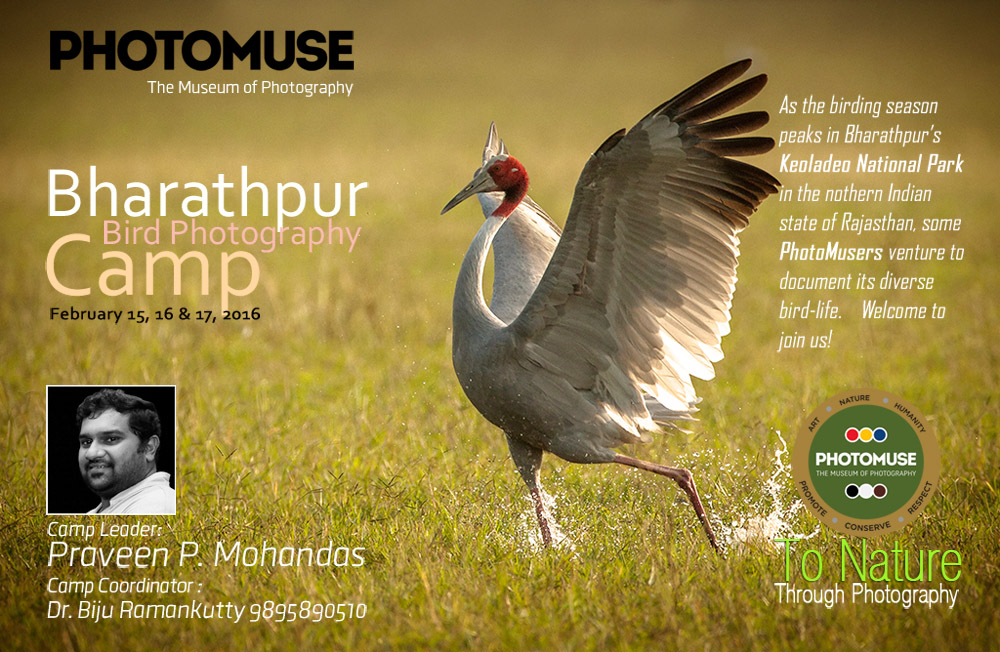 Bharatpur camp