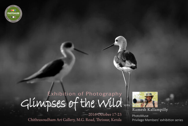 exhibition_ramesh-kallampilly-copy