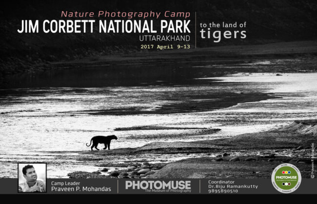 jim-corbett-poster_-2017-copy