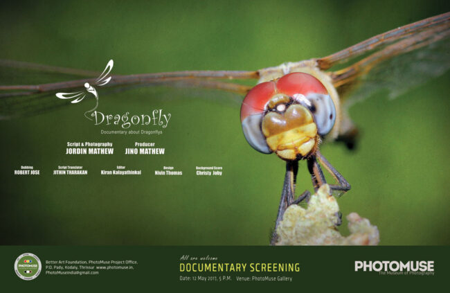 Dragonfly-documentary