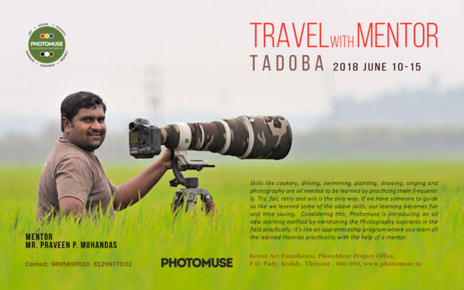 TRAVEL-WITH-MENTOR-_TADOBA-copy