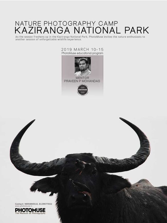 Kaziranga-2019