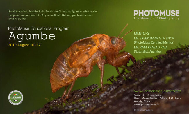 Agumbe-Poster-2019-copy