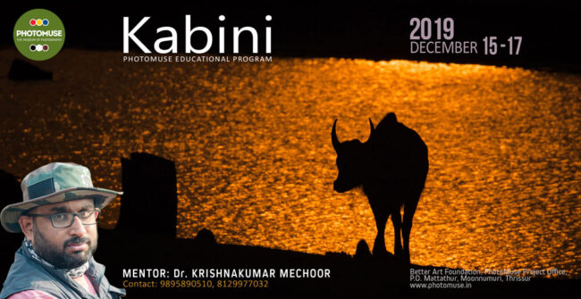 Kabini-copy