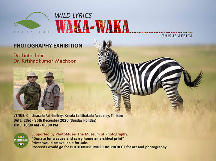 Wild Lyrics: Waka Waka…. This is Africa – Photography Exhibition