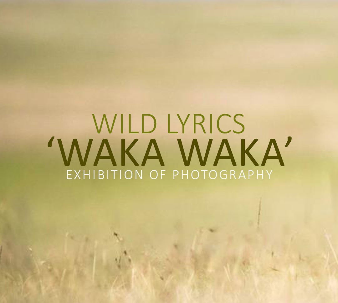 Wild Lyrics: 'Waka Waka', Exhibition of Photography – Photomuse