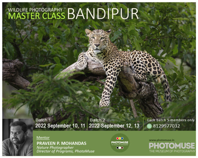 BANDIPUR-3
