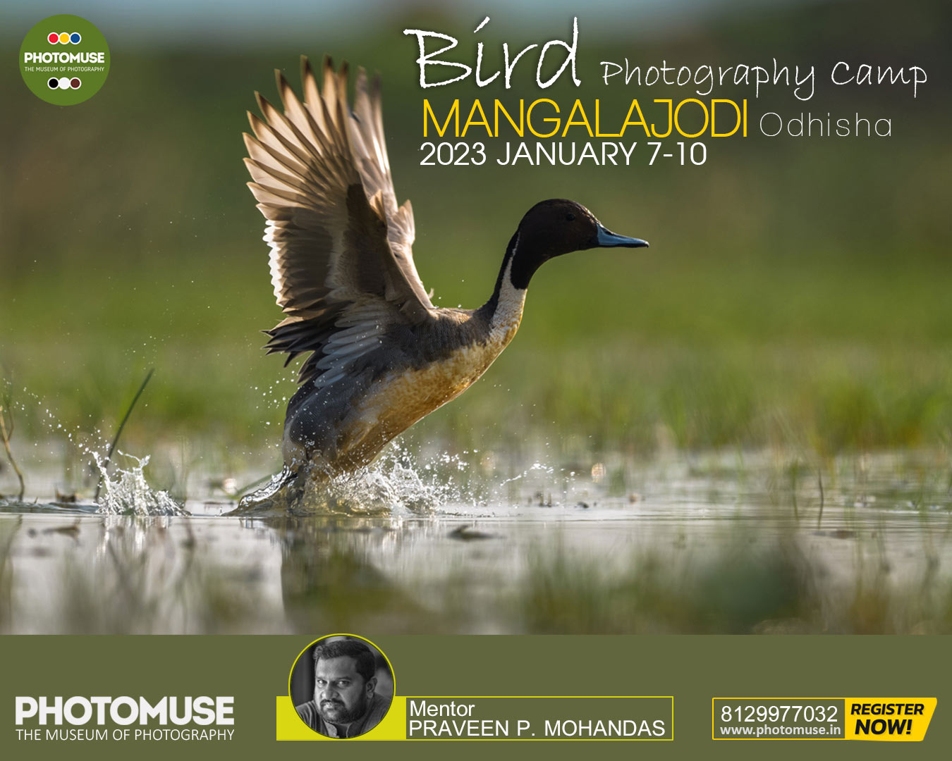 BIRD-PHOTOGRAPHY-MANGALAJODI–2