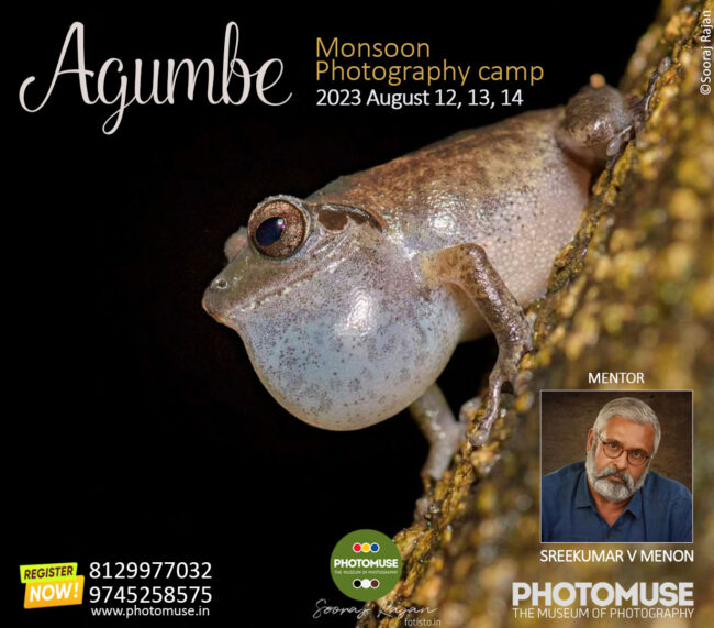 Agumbe-camp