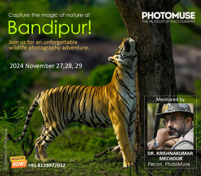 Bandipur-camp