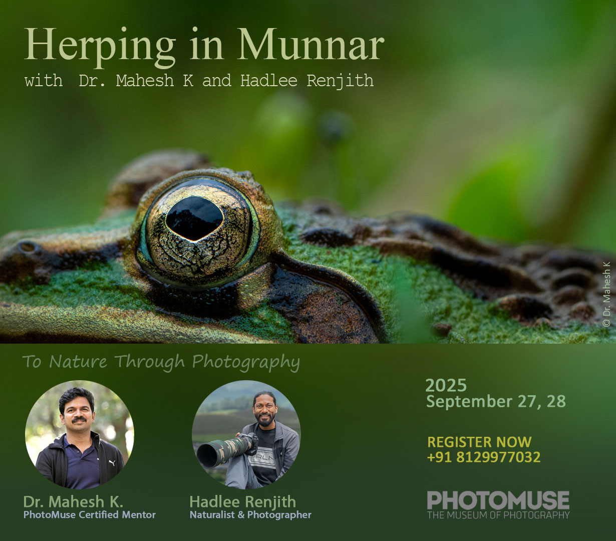 Herping-in-munnar-2025-2