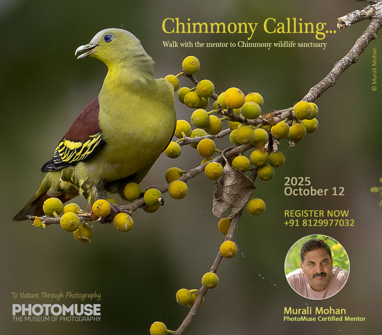 chimmony-2025